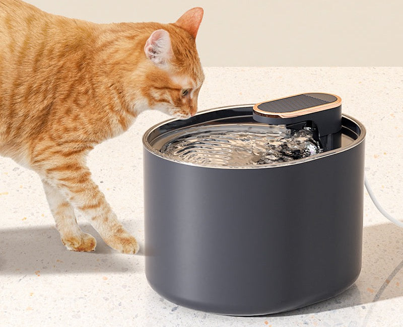 NovaLife Cascade flowing water fountain with cat drinking
